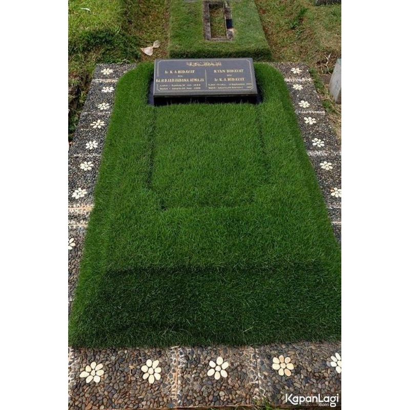 70grms BIJI RUMPUT PEKING-RUMPUT JEPANG-BENIH BIJI RUMPUT JEPANG PENGHIAS MAKAM