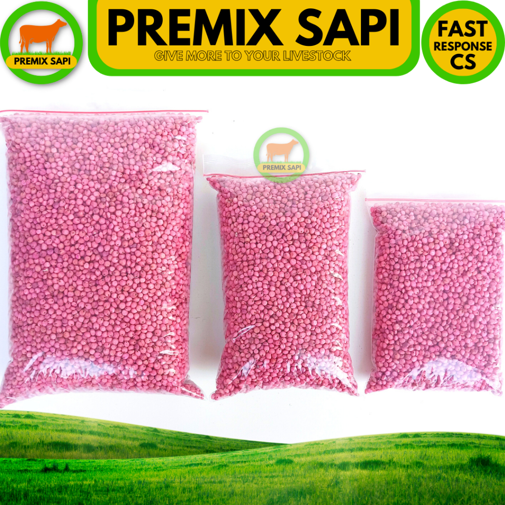 BIBIT SORGUM SOPER 9 KEMASAN 1 KG - Benih Sorgum Varietas Soper - Varian (1kg) Sorghum Cantel hijaua