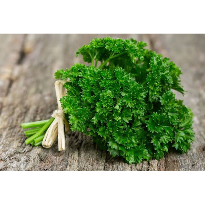 

daun parsley 100g