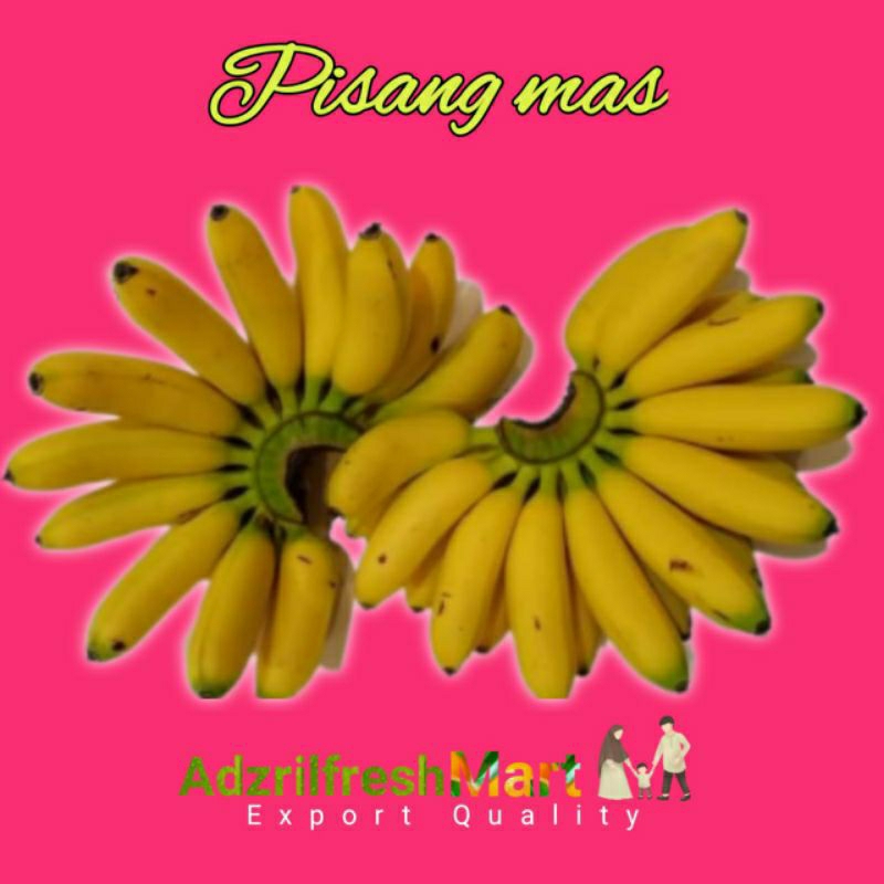 

PISANG MAS SATU SISIR