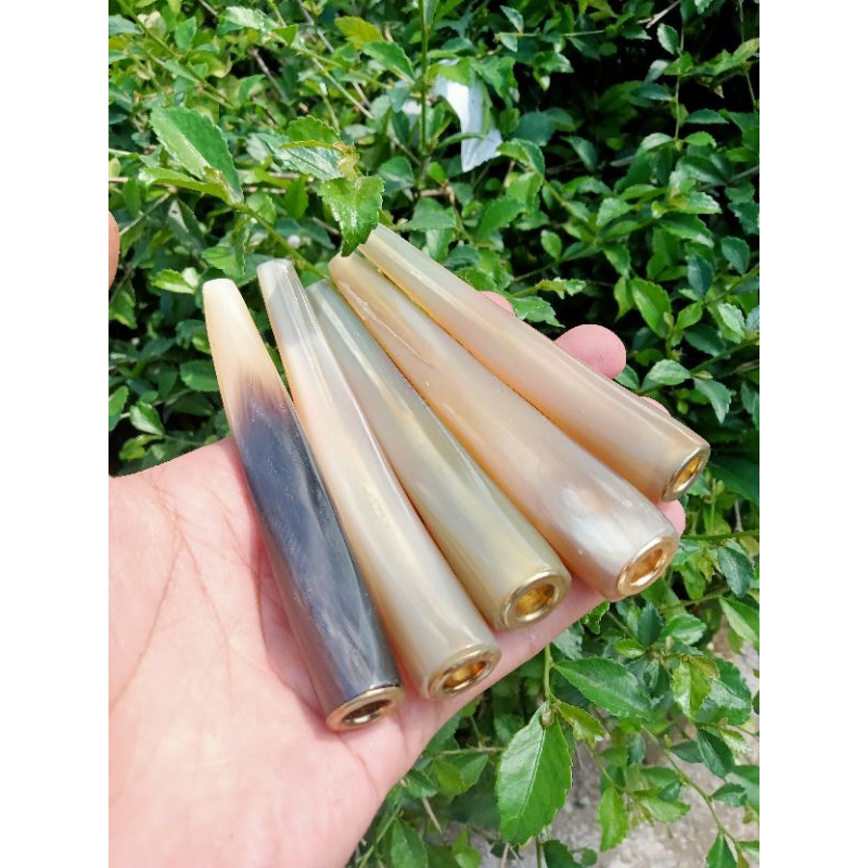 Once tanduk ring super