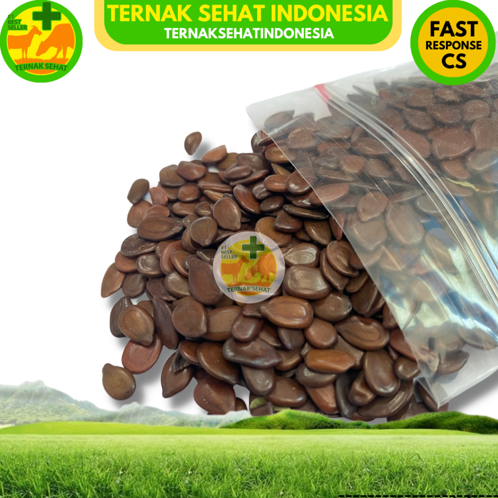 BENIH LAMTORO TARAMBA SUPER 1kg- Hijauan pakan ternak sumber protein - BIJI LAMTORO 1 kg