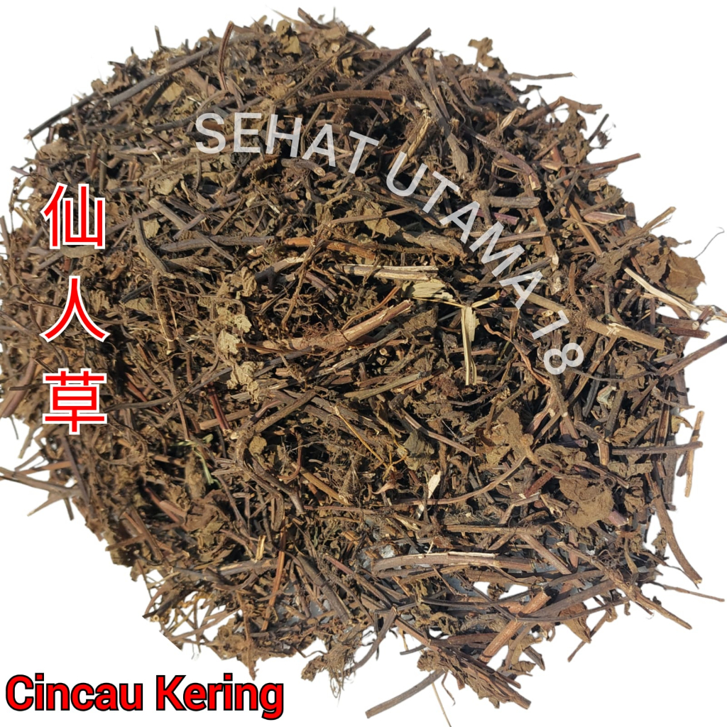 

Xian Ren Cao 1 Kilogram 仙人草 Daun Cincau Hitam Kering - Jagelan / Lengkong Leng Kong Cingcau