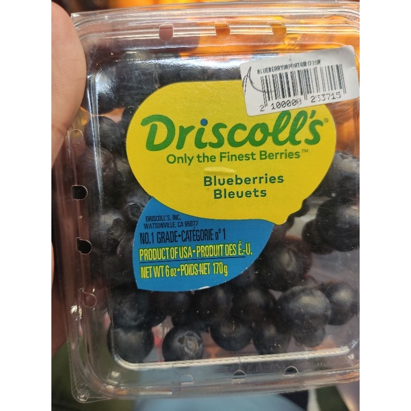 

Blueberry Driscoll USA 170 Grm Promo Spesial