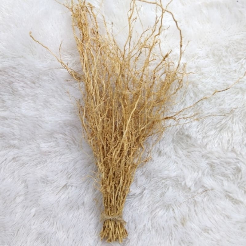 akar wangi pengharum ruangan dan bahan dekorasi