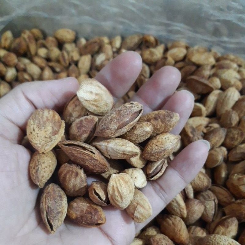 

kacang almond cangkang rasa susu butter 500gr