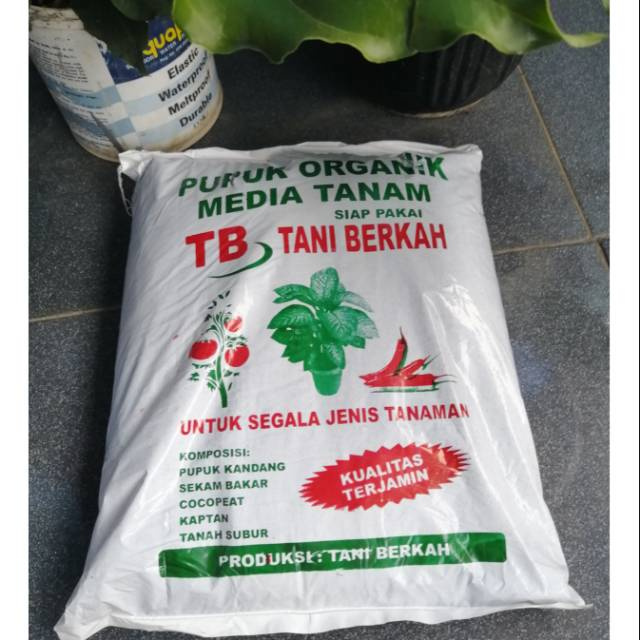 media tanam pupuk kandang organik