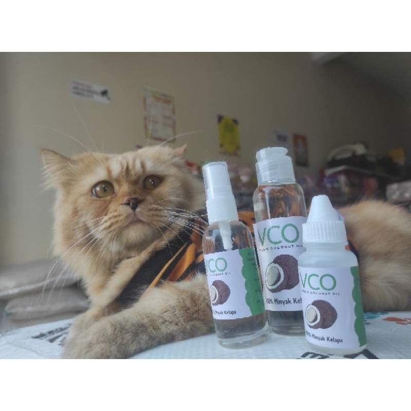 VCO kucing jamur scabies Virgin Coconut Oil Minyak Kelapa untuk hewan