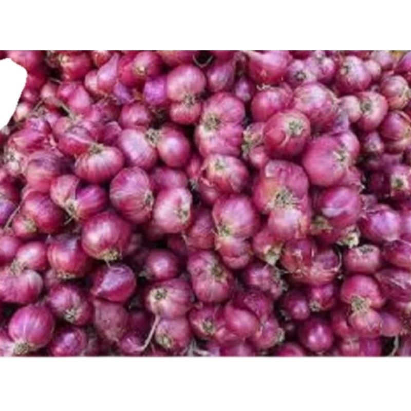 

BAWANG MERAH 500G