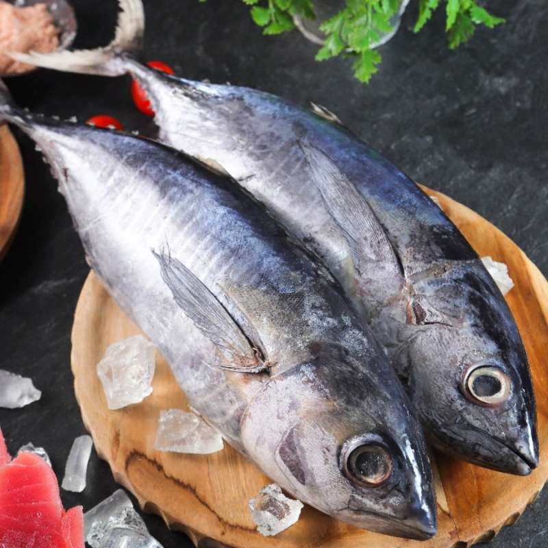 

Ikan Baby Tuna 1 Kg Beku kapal