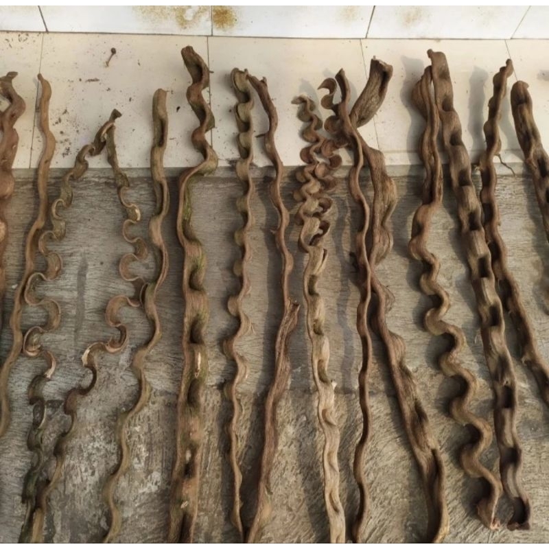 Kayu trinil panjang 1 meter