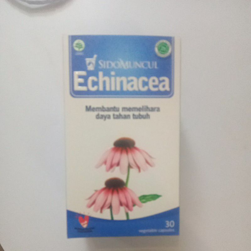 echinacea