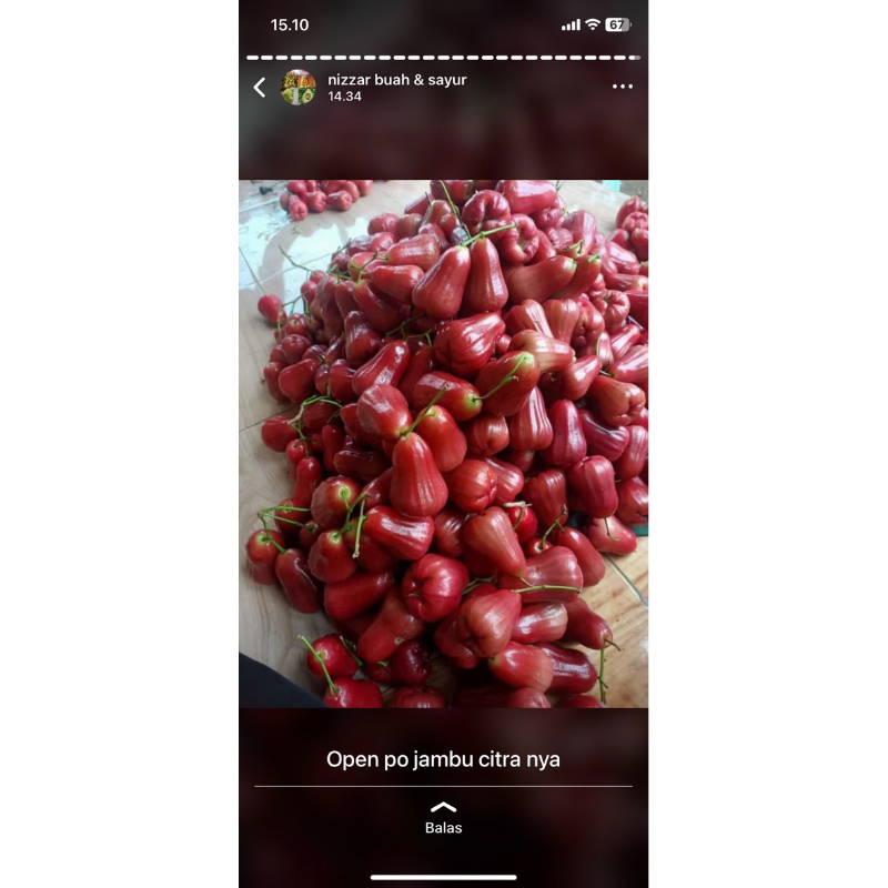 

buah pesanan orang