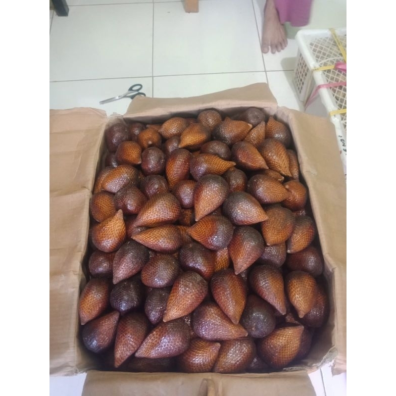 

Aneka Buah Segar Salak