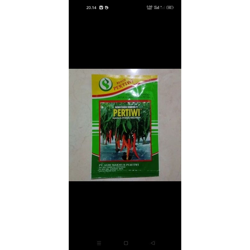 benih cabe besar Pertiwi 10gr