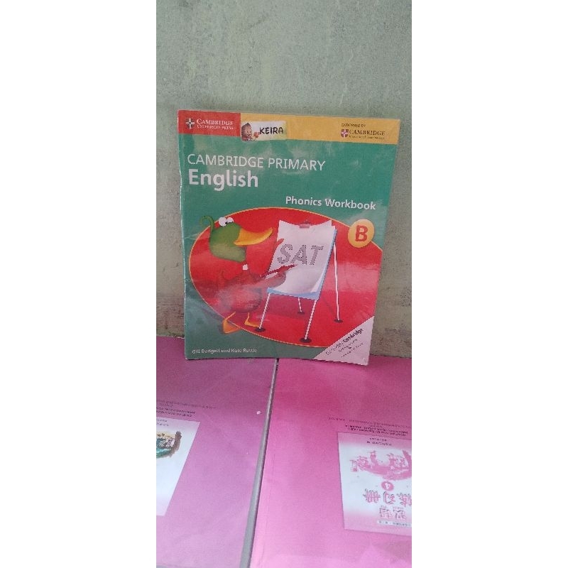 cambridge primary english phonics workbook B