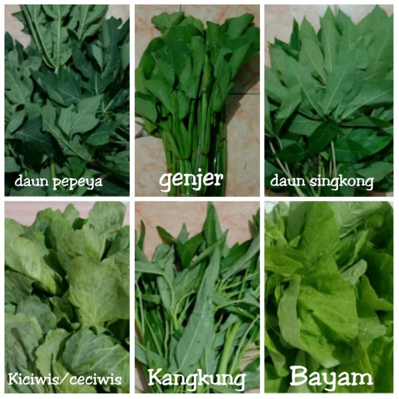 

Aneka sayuran hijau kangkung,bayam,genjer daun pepaya,daun singkong,pokcoy