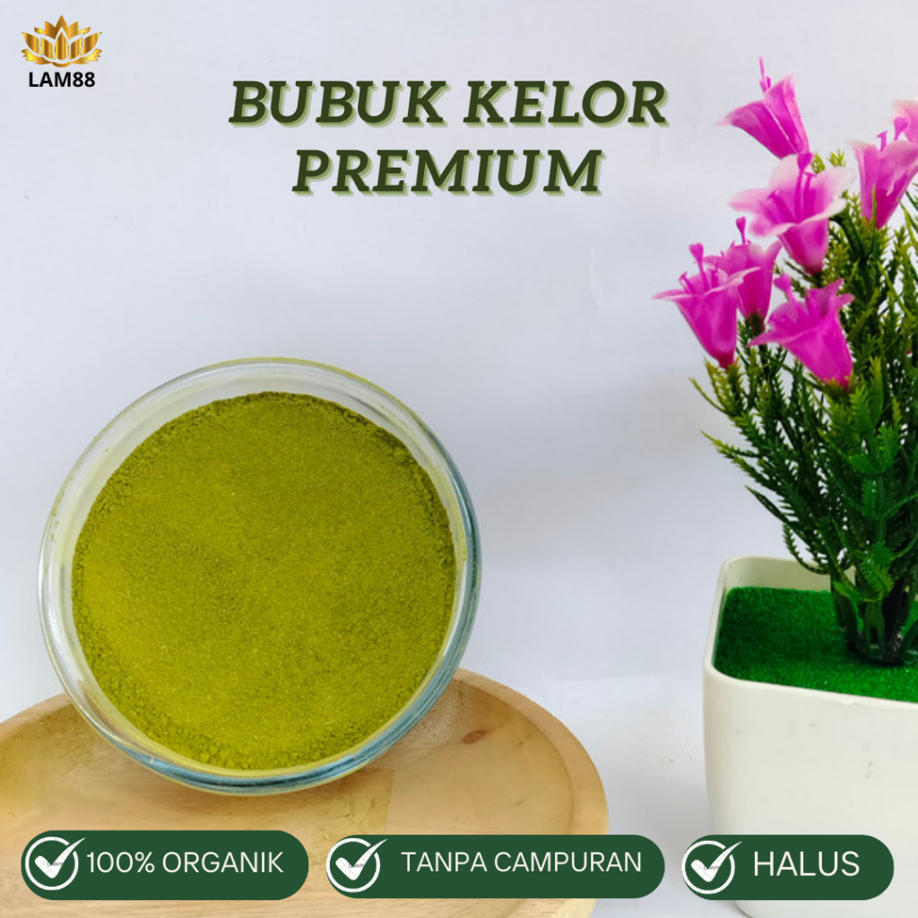 

BUBUK DAUN KELOR KUALITAS SUPER PREMIUM