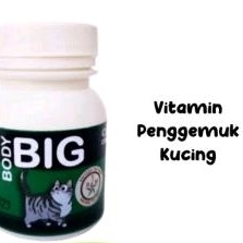 vitamin penggemuk kucing