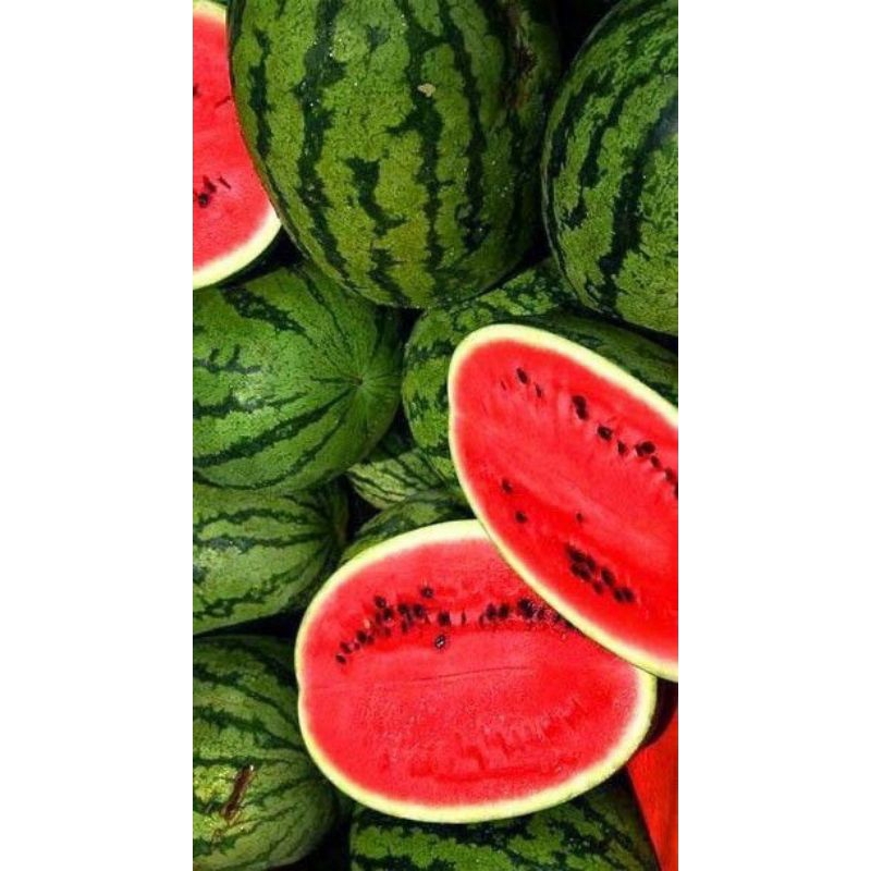 

Semangka merah