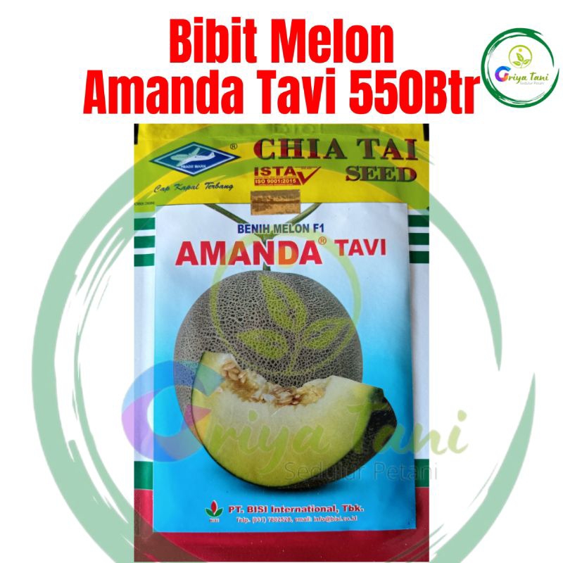 Cap Kapal Terbang - Benih Melon Amanda Tavi F1 (550Butir)