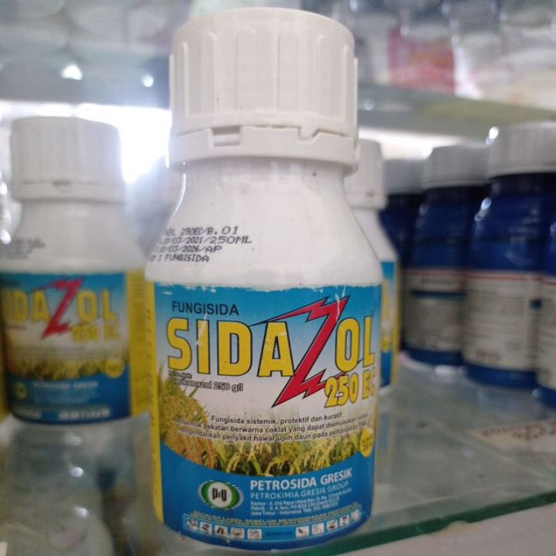 Fungisida Sidazole 250EC 250ml obat moler bawang merah