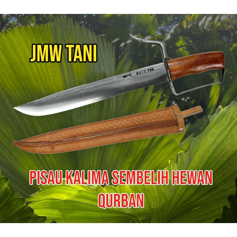 PISAU KALIMA SEMBELIH HEWAN QURBAN