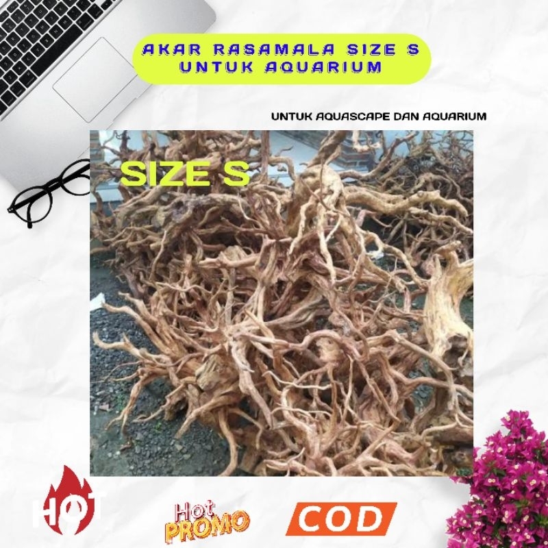 Akar rasamala ukuran S hiasan aquarium