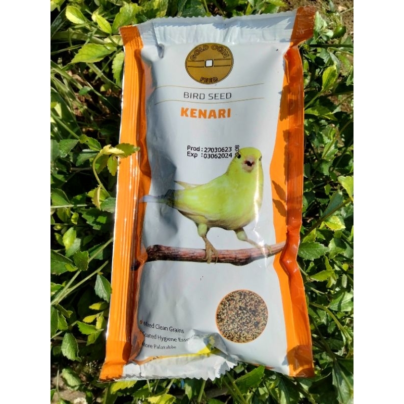 GOLD COIN PAKAN KENARI