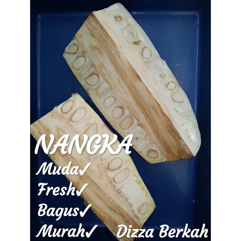 

NANGKA MUDA/500gr/Bagus/Murah/Dizza Berkah