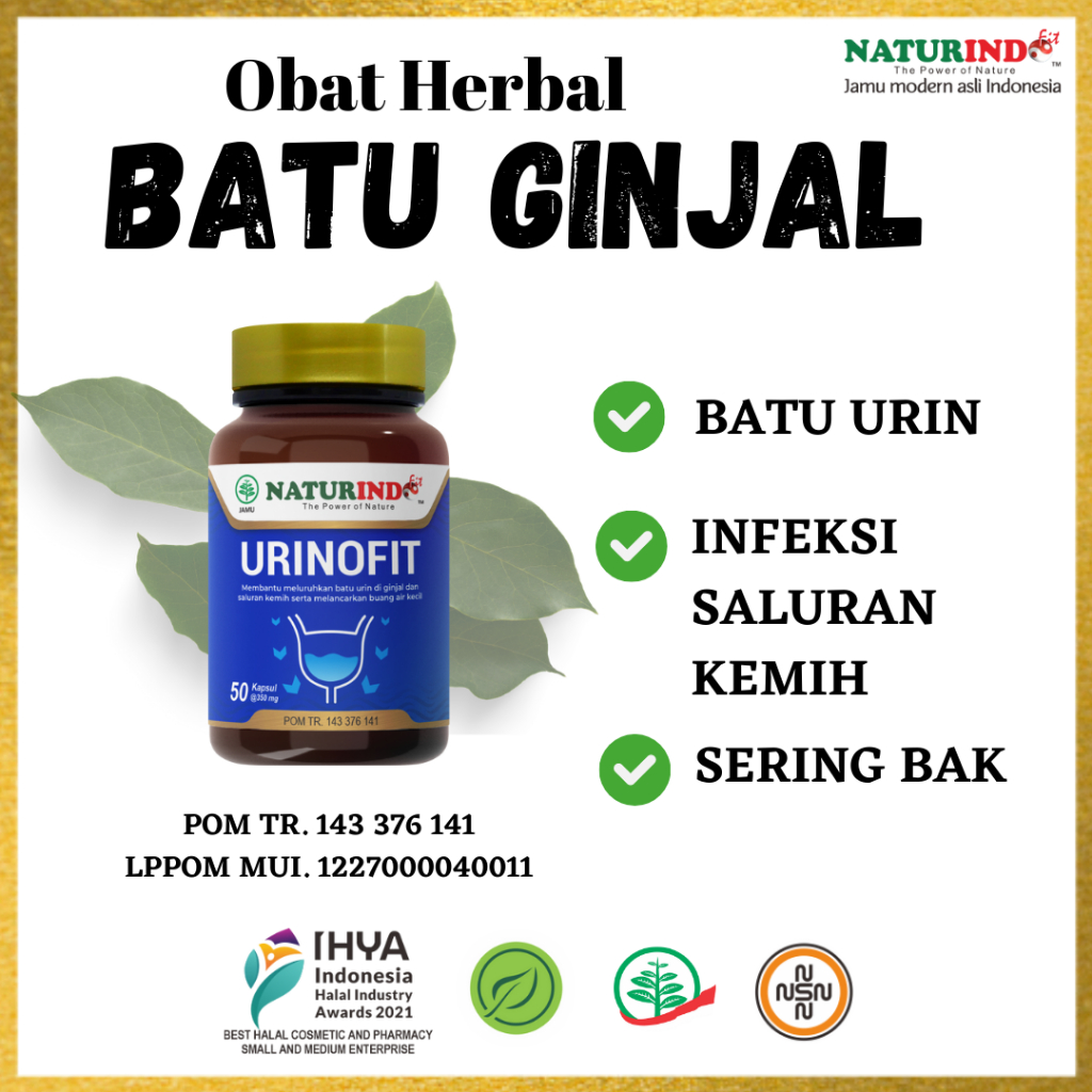Obat Ginjal Batu Ginjal Gagal Ginjal Ampuh Ginjal Bengkak Ginjal Bocor Bpom Herbal Naturindo