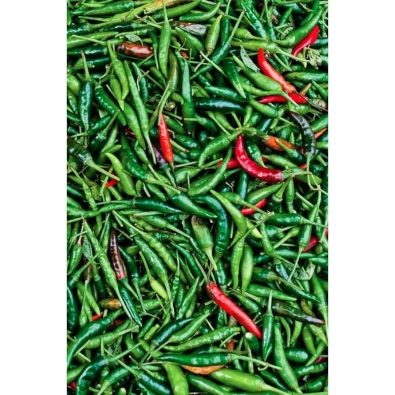 

[ MURAH ] - Cabe/Cabai Rawit Hijau (per 100gr)