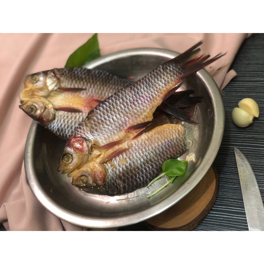 

ikan asin tengaoap laut
