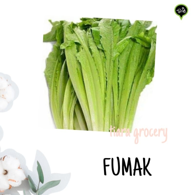 Fumak/ Siomak