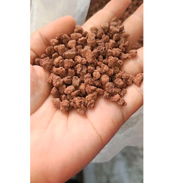 RED LAVA ROCK/media tanam PASMAL PASIR MALANG MERAH 10 KILOGRAM.