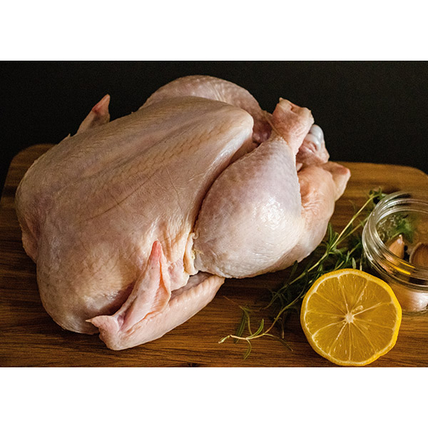 

Ayam Potong Boiler