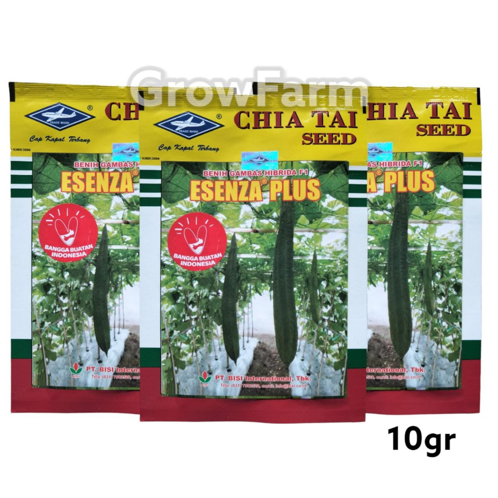 Benih Bibit Gambas oyong ESENZA PLUS 10 gr hibrida f1 Cap kapal Terbang