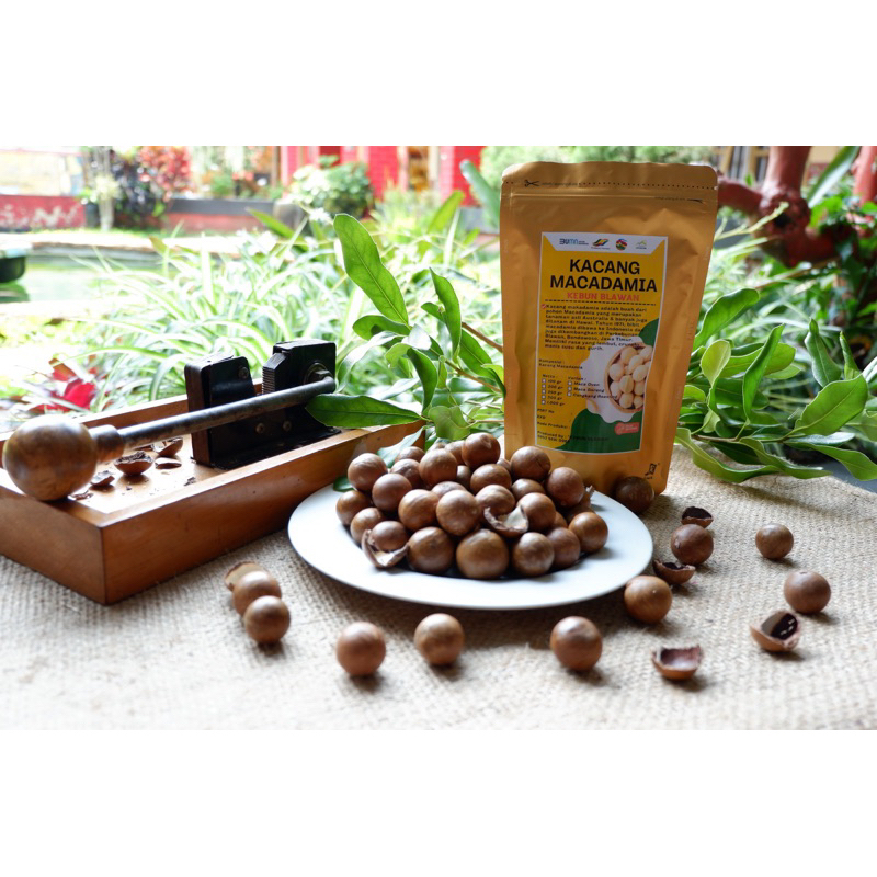 

Macadamia Cangkang Roasting 100gram