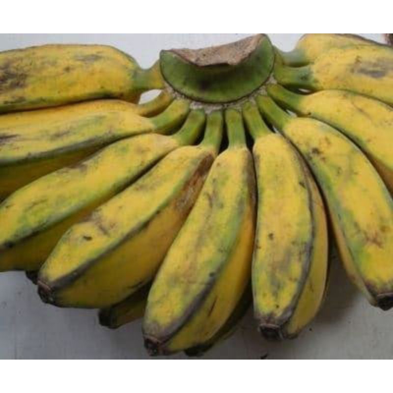 

PISANG KEPOK 1 SISIR 1000Gr MATANG FRESH MANIS