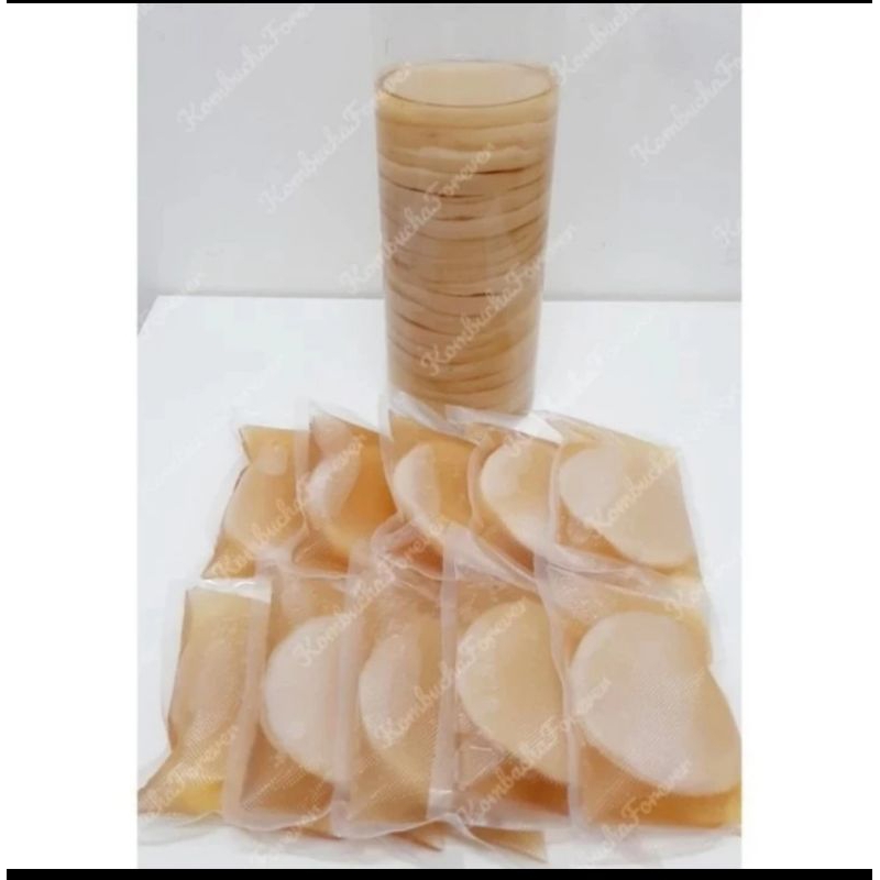 

Bibit Scoby Kombucha Premium Plus Starter/ Jamur Dipo / Scoby Kombucha