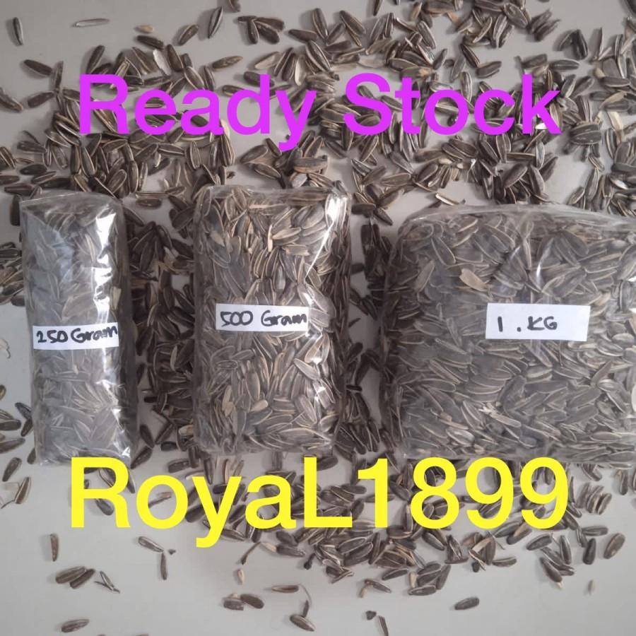 Kwaci Parot Kuaci Jumbo Sangrai / mentah Pakan burung paruh bengkok