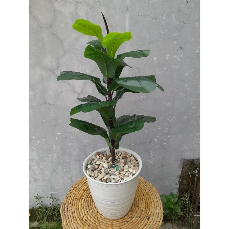 TANAMAN ARTIFICIAL KETAPANG D15(sudah termasuk pot)