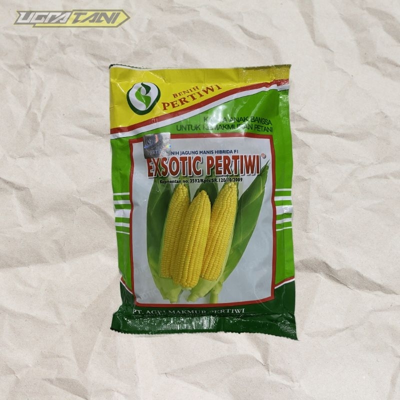 Benih Jagung Manis Exotic Pertiwi 250 gram