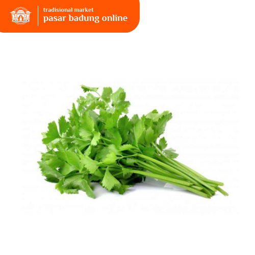 

Daun seledri segar 5-10g - 2000