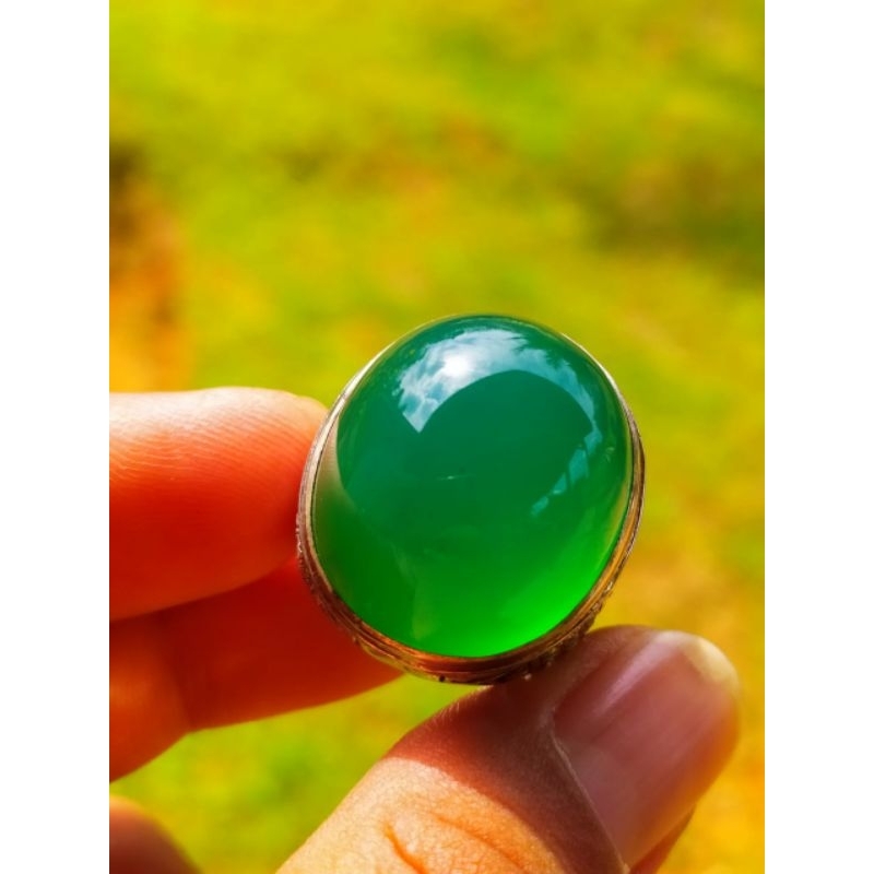 BACAN DOKO GULAU HQ DIMENSI IDEAL DAN DINAMIS IDAMAN PARA PRIA