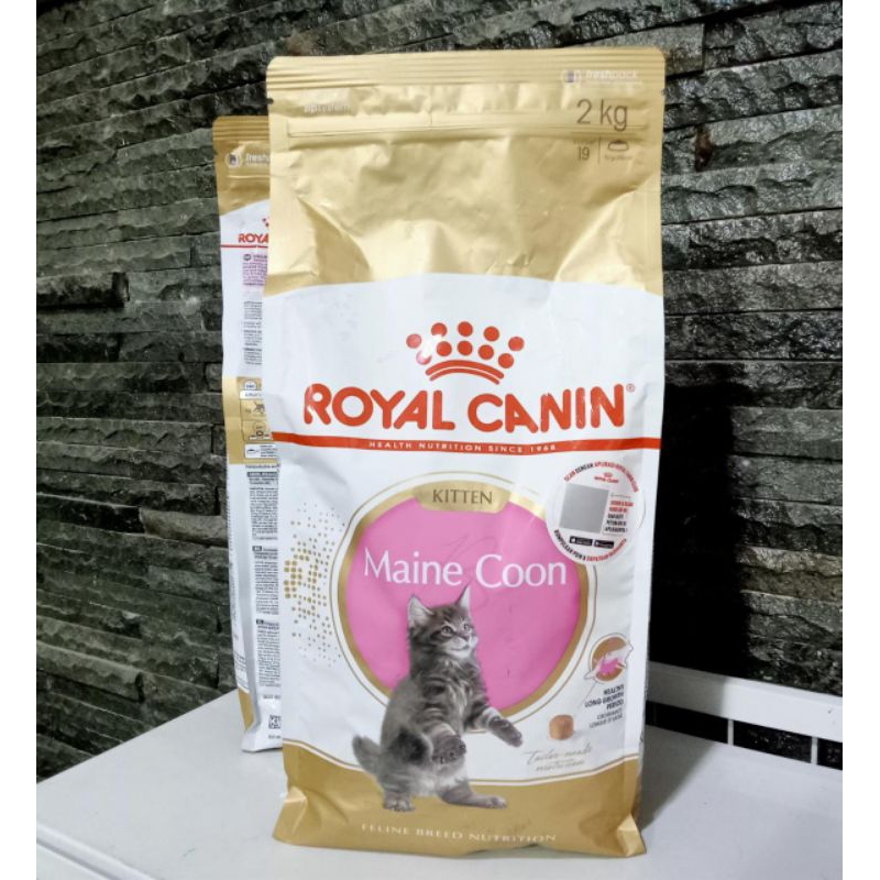 Makanan kucing RC Royal Canin Main Coon Kitten 2kg | makanan kucing anakan maine coon maincoon