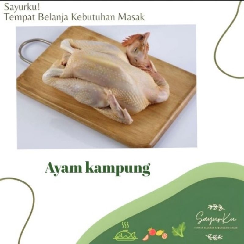 

Ayam kampung utuh 1 ekor