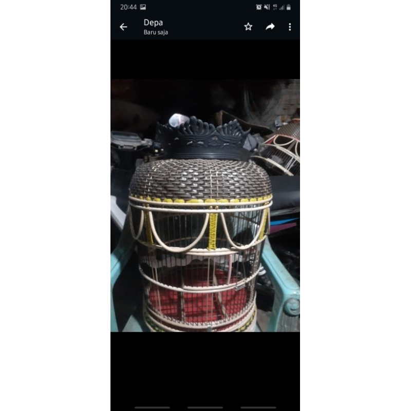 sangkar kutut rajut bermahkota