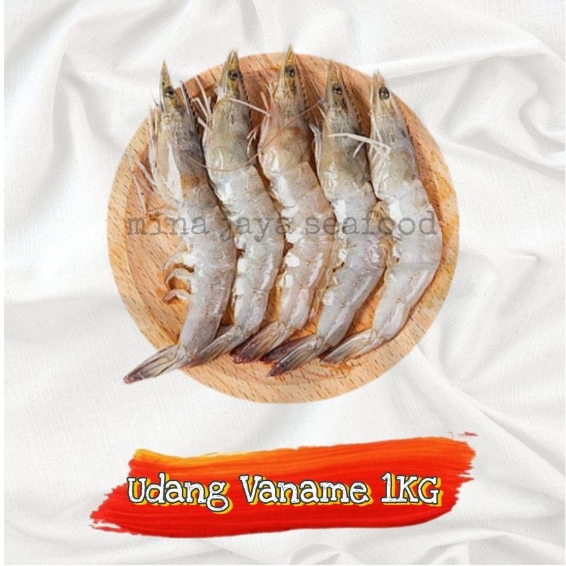 

Udang Vaname Sedang 1KG / Udang Tambak