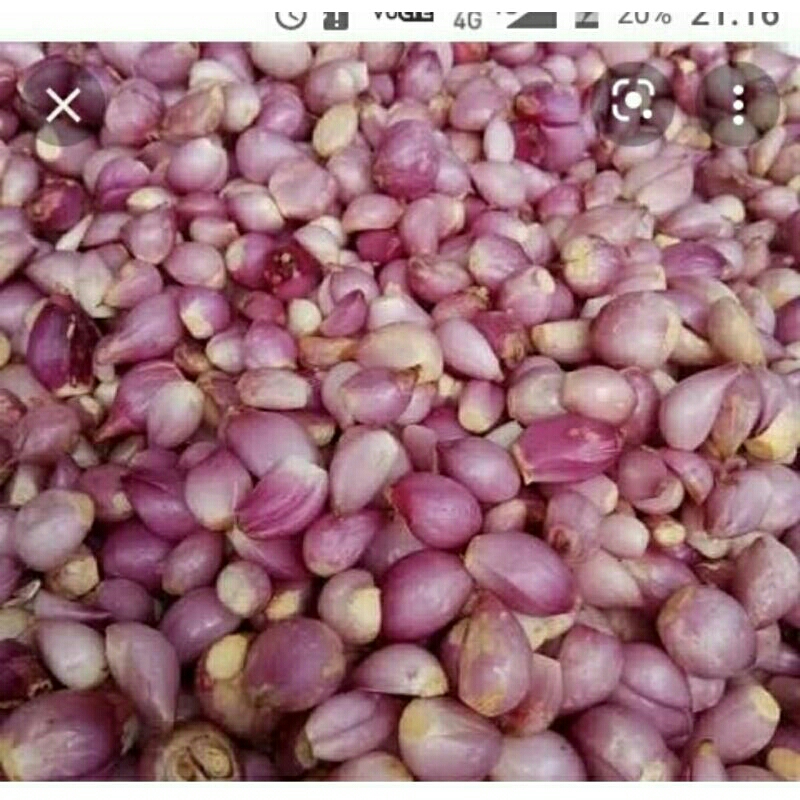 

bawang merah kupas 100 gram